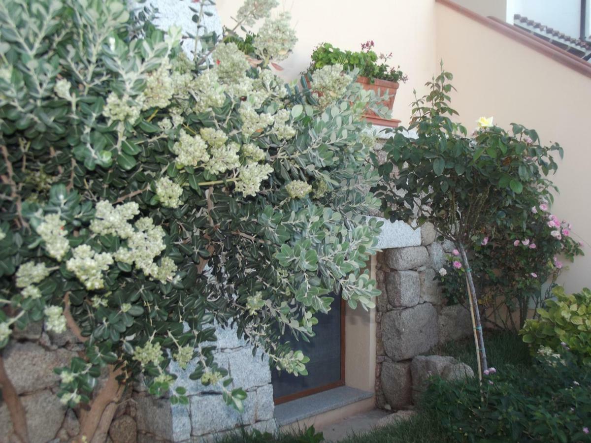 Ferienwohnung Casa Elena Cala Gonone Exterior foto